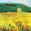 Vaucluse en Provence