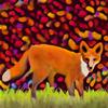 Ginger Fox