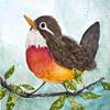Little Bird
