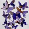 Free Flight II