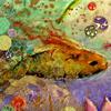 The Lantern Fish