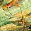 Die Libelle