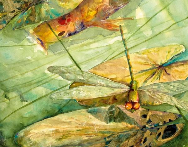 Die Libelle