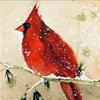 Cardinalis