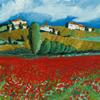 Papaveri Toscani